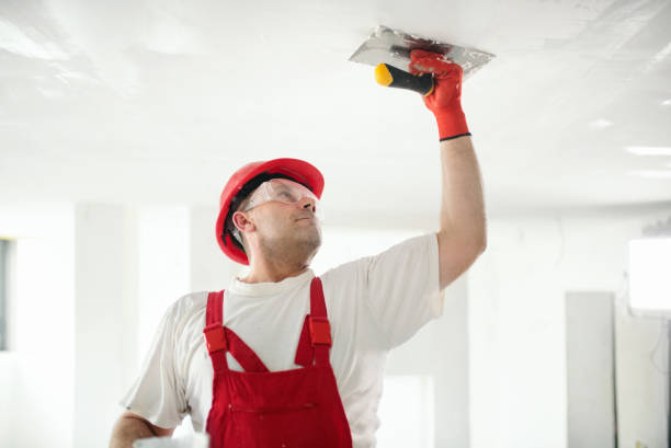 Best Mold Documentation for Insurance Claims  in Mcalmont, AR