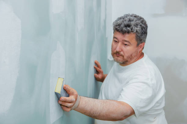 Best Water Damage & Mold Remediation  in Mcalmont, AR