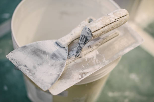Best Mold Damage Restoration  in Mcalmont, AR